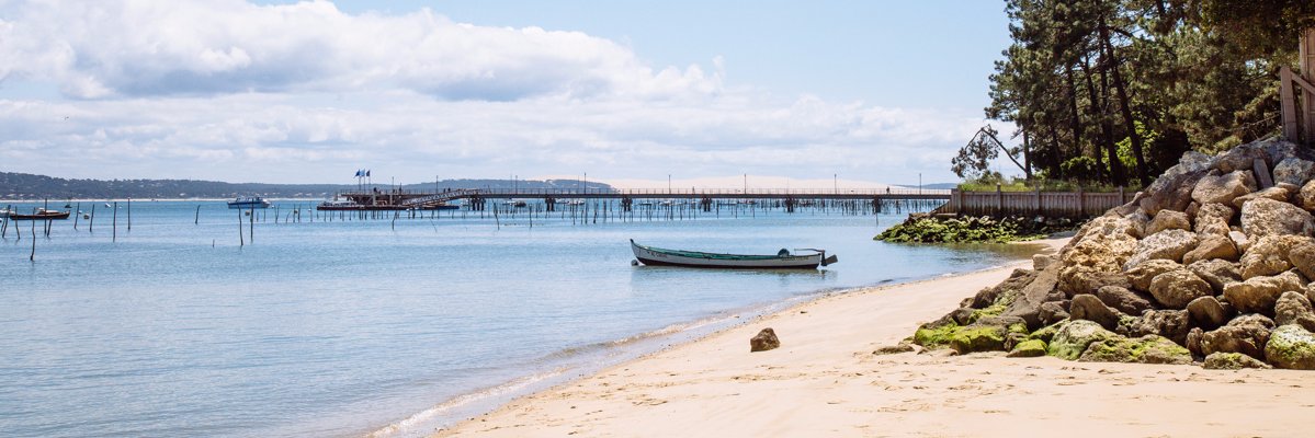 capferret's profile banner image