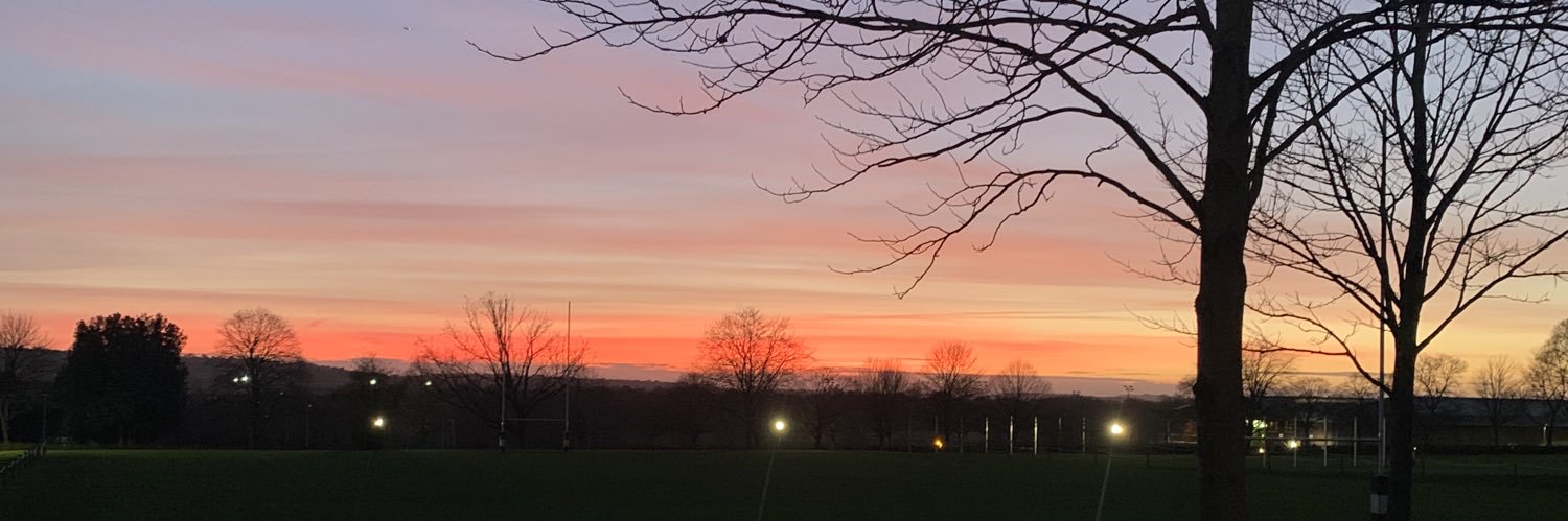 Gina Horastead banner