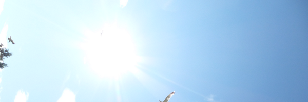 ad_ni Profile Banner