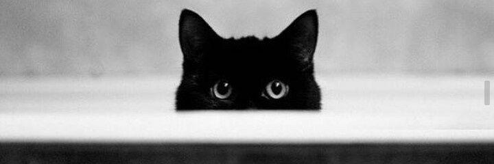 Bettegerr's profile banner image
