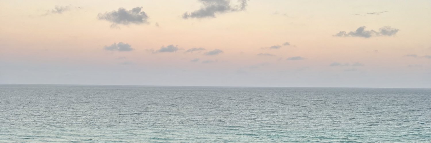 rissy_johnson's profile banner image