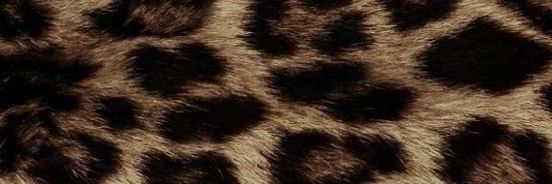 AnaMMion's profile banner image