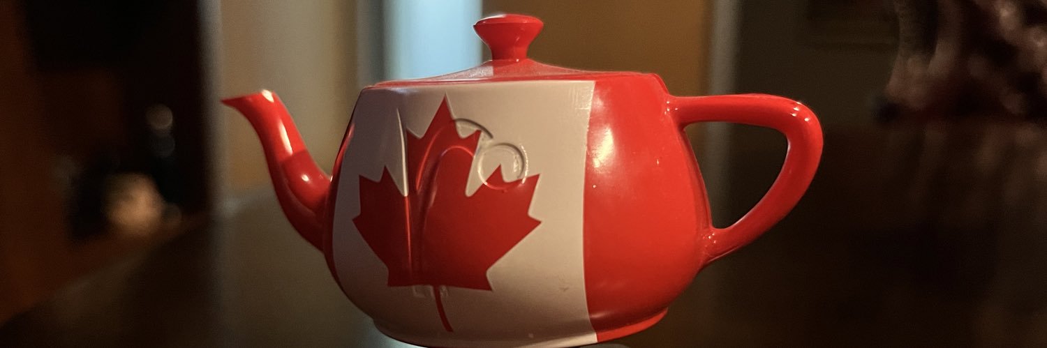 sina nabizadeh banner