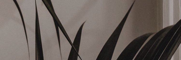 Givenxchyme's profile banner image