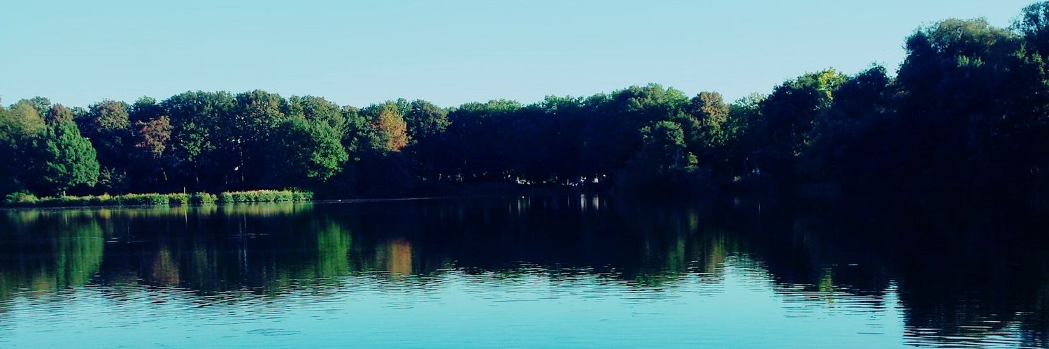 mohammad_ali_2's profile banner image