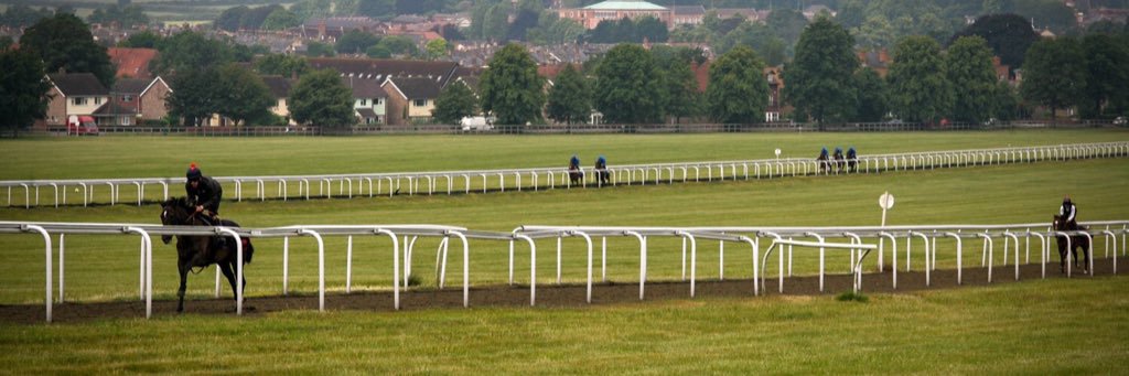 Janice Clapson banner