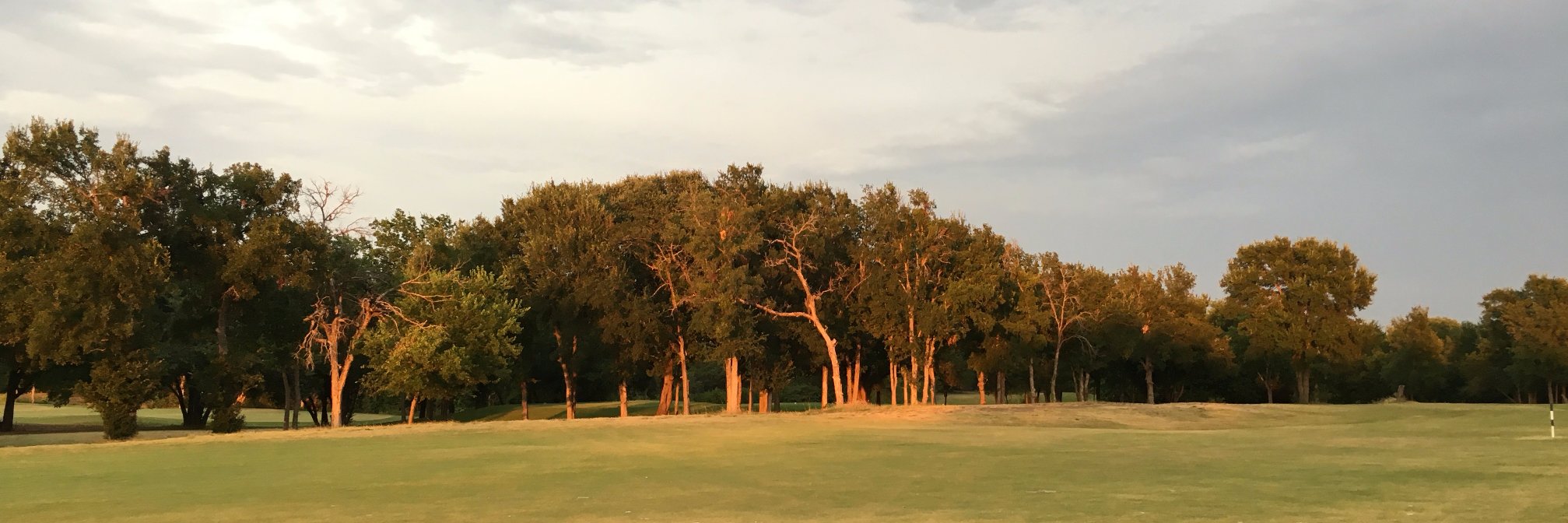 J. Wesley (Wes) Null banner