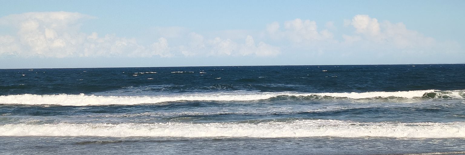 GoGoBelt's profile banner image