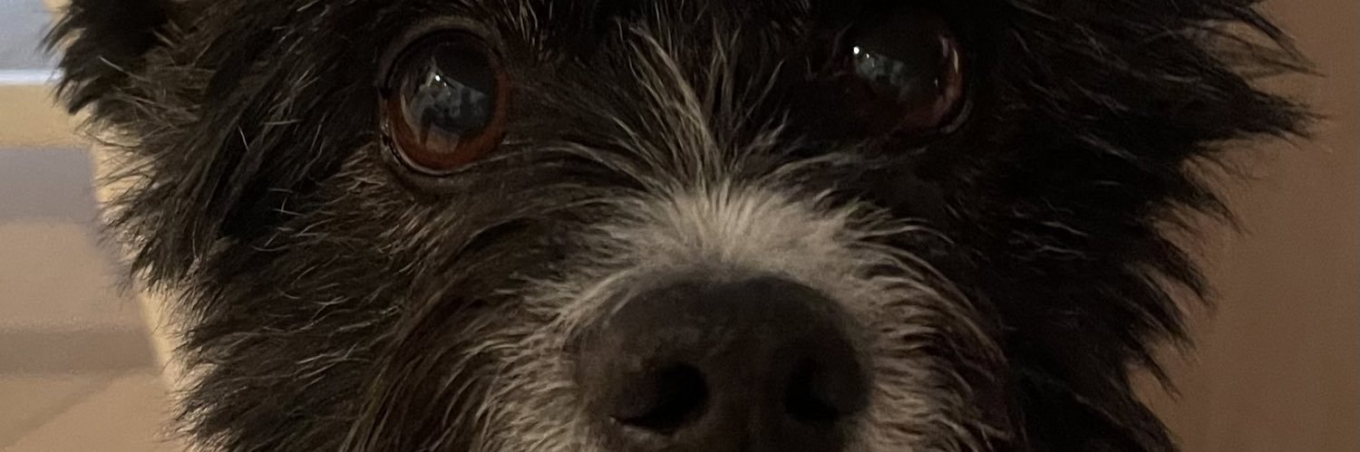 rsuckle's profile banner image