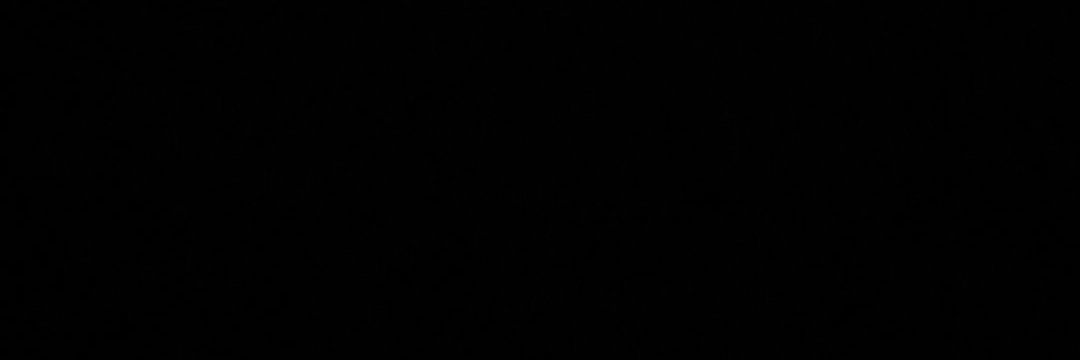 vito banner