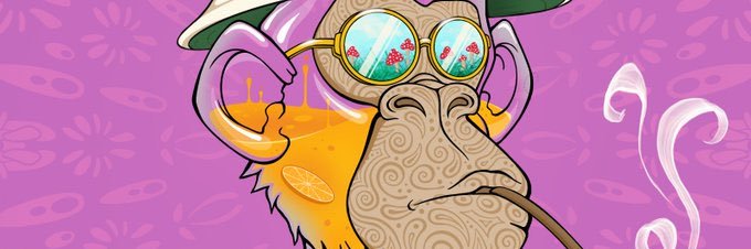 Emmacrypto_sol's profile banner image