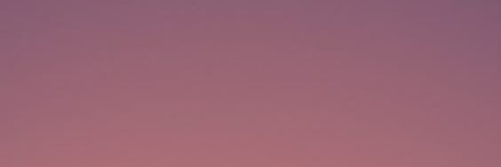 $POPCATS banner