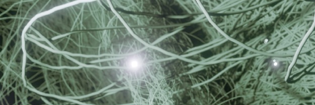 bkdeister's profile banner image