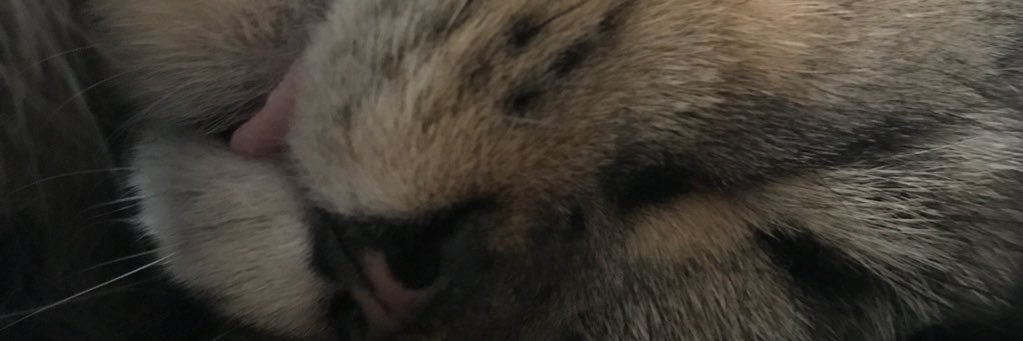 crookdyoungs's profile banner image