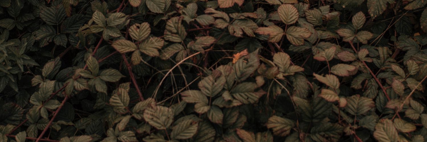 mgjorge_10's profile banner image