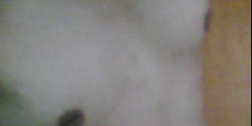 browndickguy's profile banner image