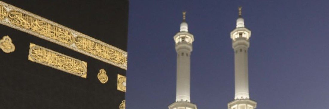 زهرة الاوركيد🌼 banner