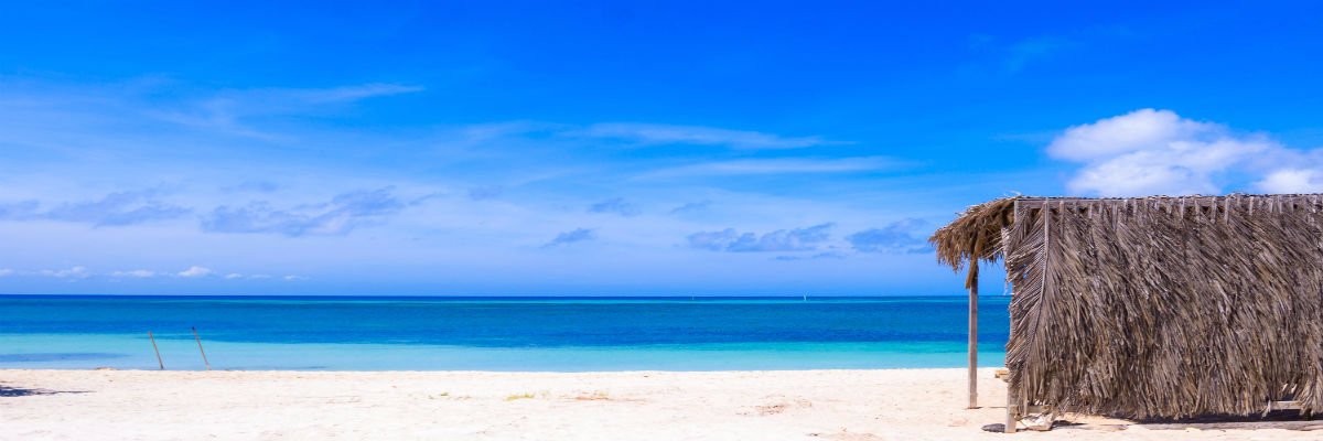 Cattaneo7172's profile banner image