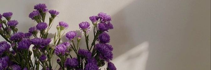MiMiToU_ii's profile banner image