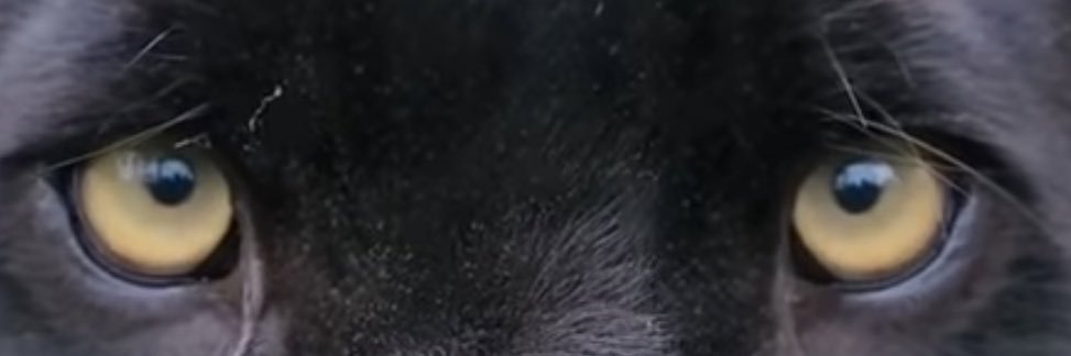 jony__89's profile banner image