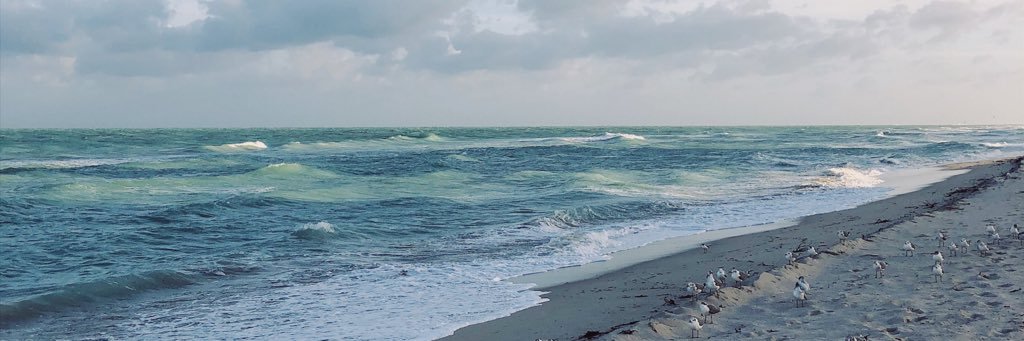 StephHoltz_'s profile banner image