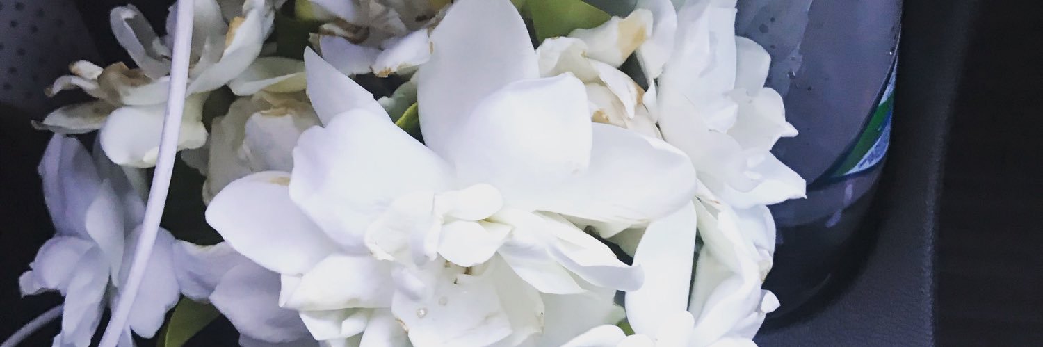 lkocun's profile banner image