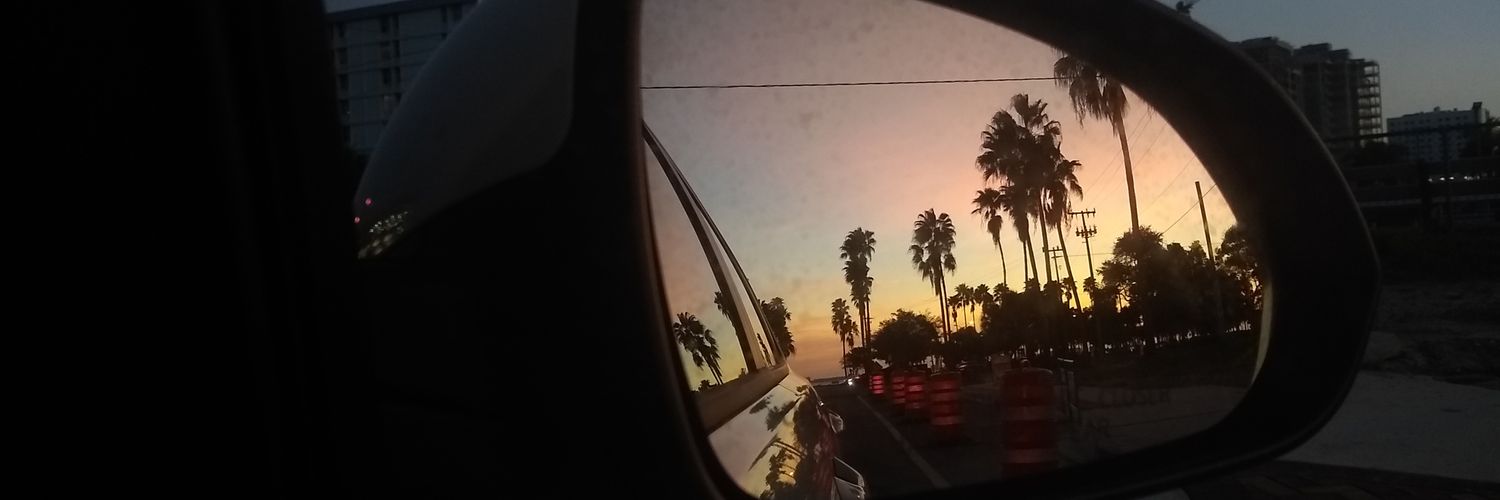 elvale_dice's profile banner image