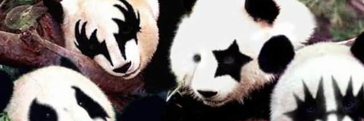 兒玉常利 banner