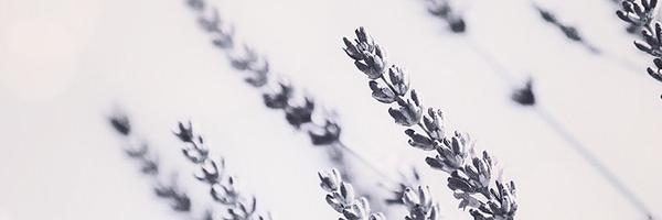 simer0401 Profile Banner