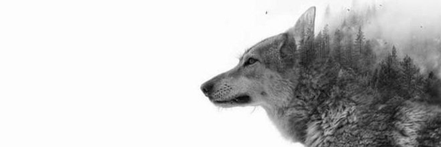 burakk_ala's profile banner image