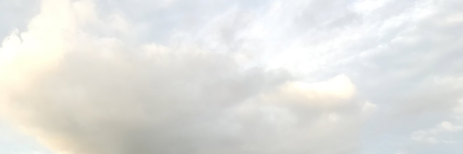 eizahlf's profile banner image