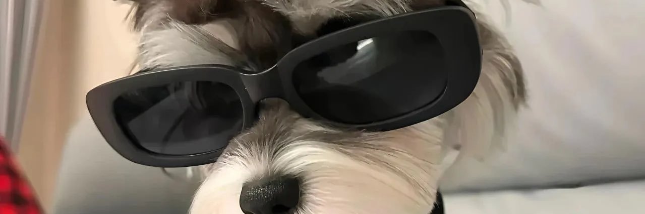 carlsbrawls's profile banner image