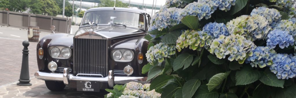 s_annpan's profile banner image