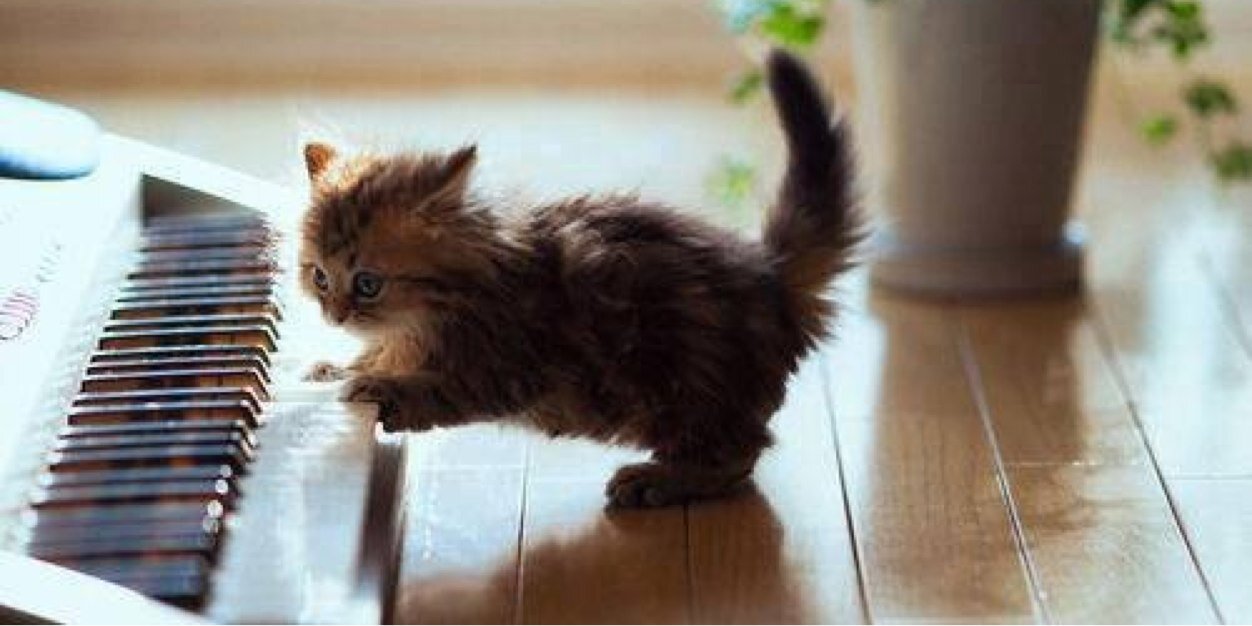 Leono007's profile banner image