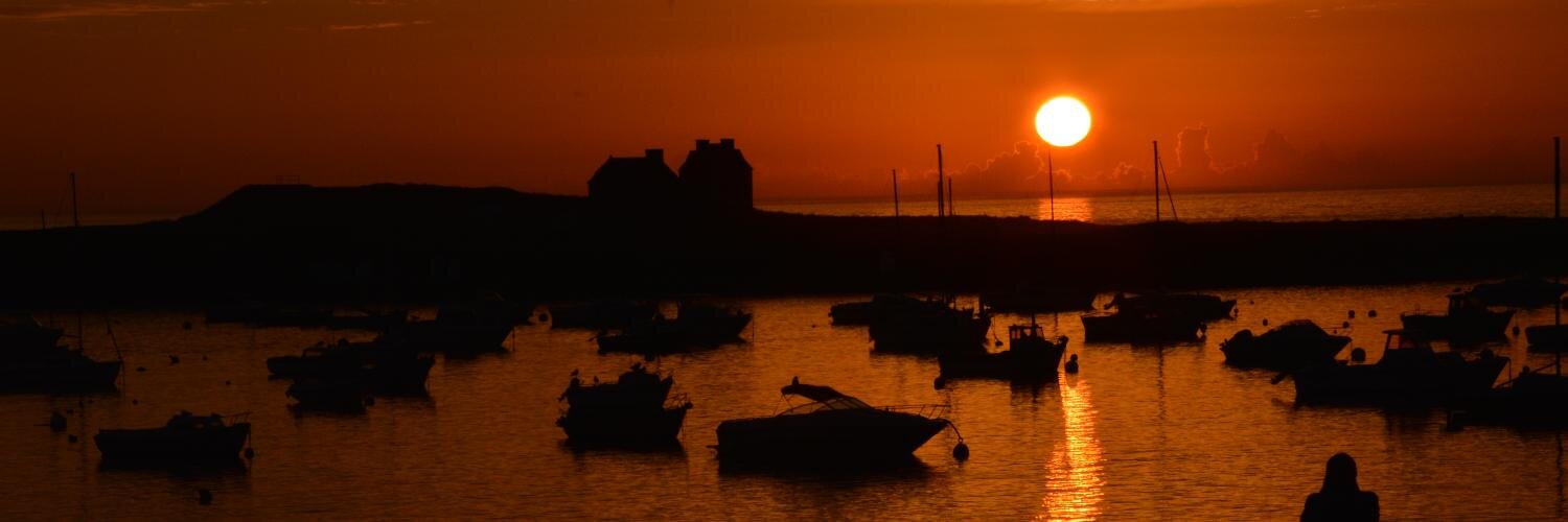 Dominique SAITTA banner