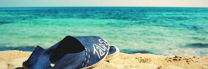 Talps banner