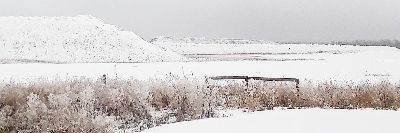 Barthabermiller's profile banner image