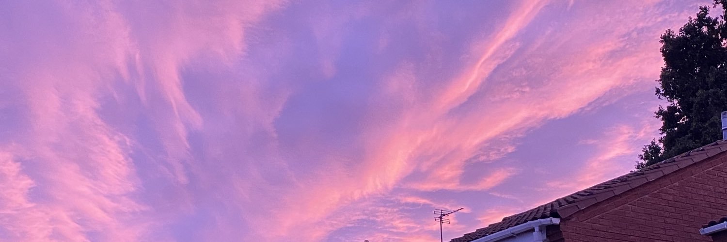 gab_tyler's profile banner image