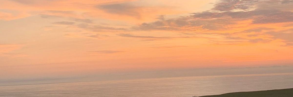 digor1408's profile banner image