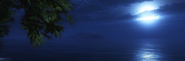 lucy_0088 Profile Banner