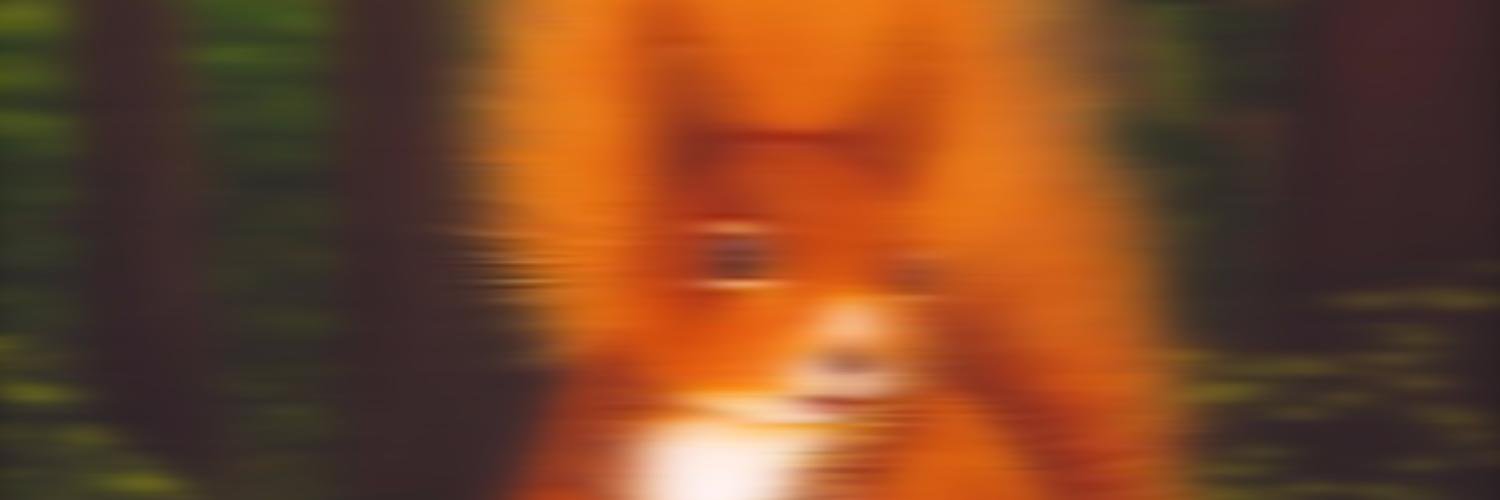 luqmonster's profile banner image