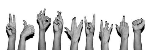 Maria Nicole Voller banner