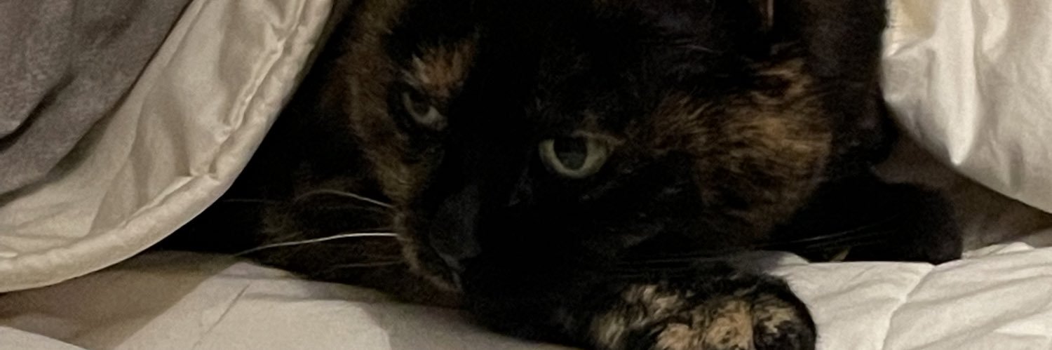 Chapo_LeGato's profile banner image