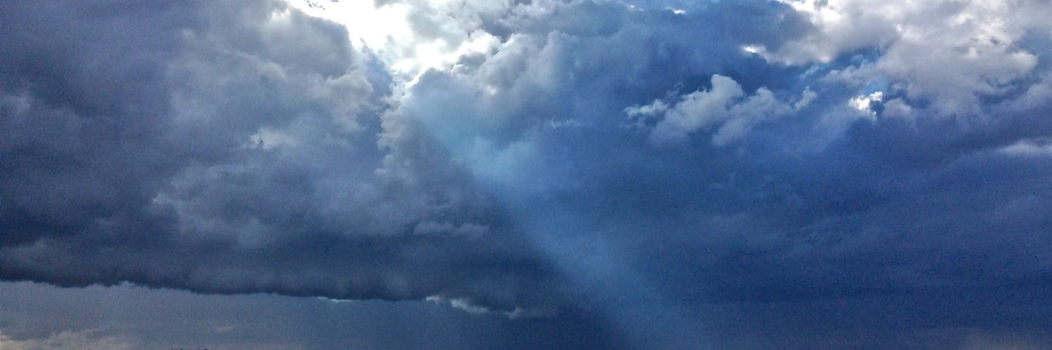 Alison Hardie banner