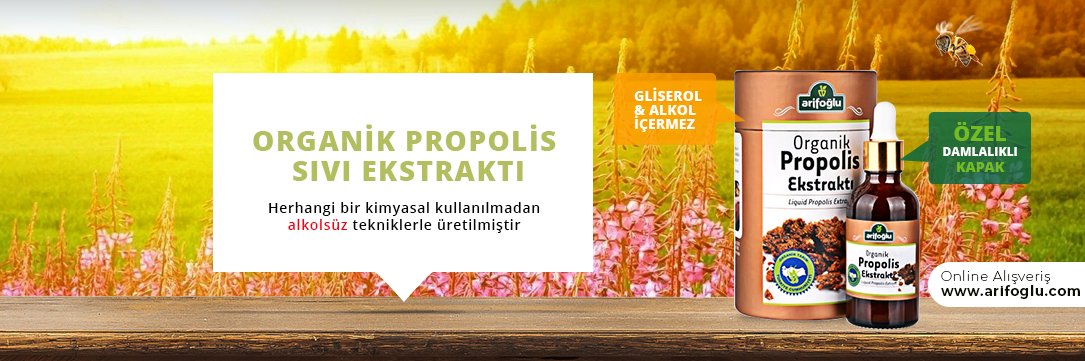 arifoglu1944's profile banner image