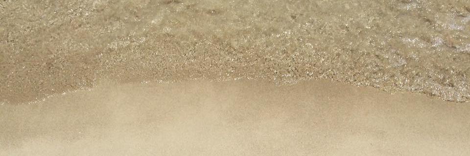Poppy_Brookes's profile banner image