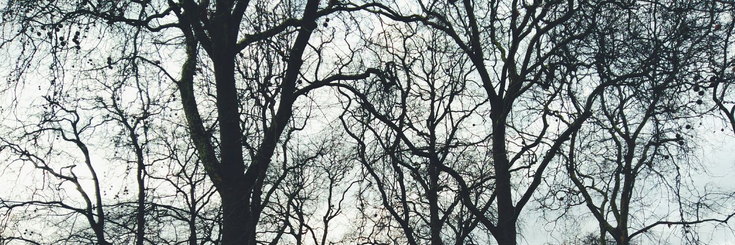 monicadg68's profile banner image