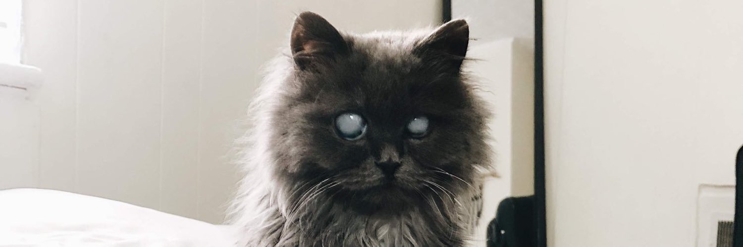 alisinthesis's profile banner image