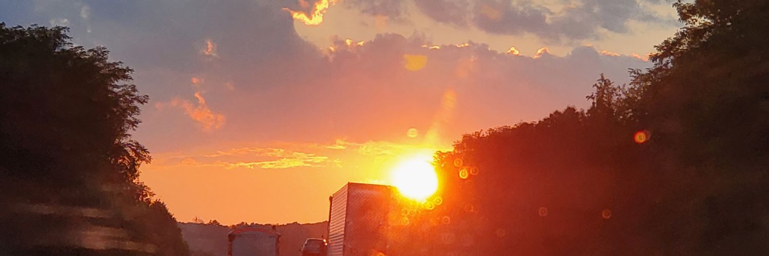 PurpleFigment's profile banner image