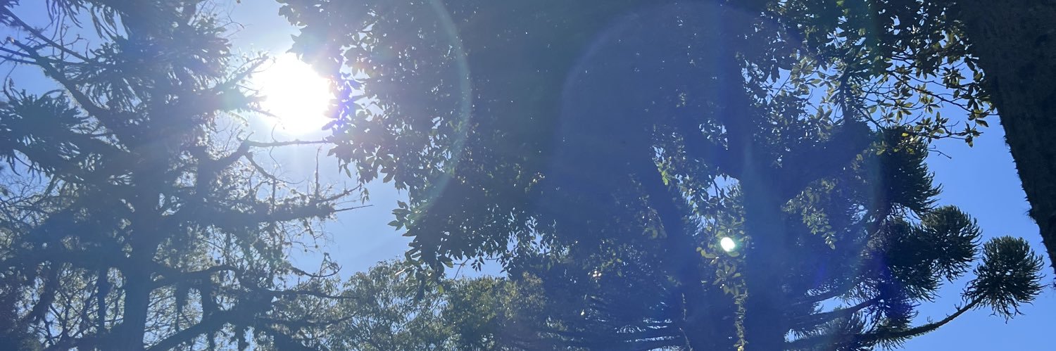 raquelaraujo's profile banner image